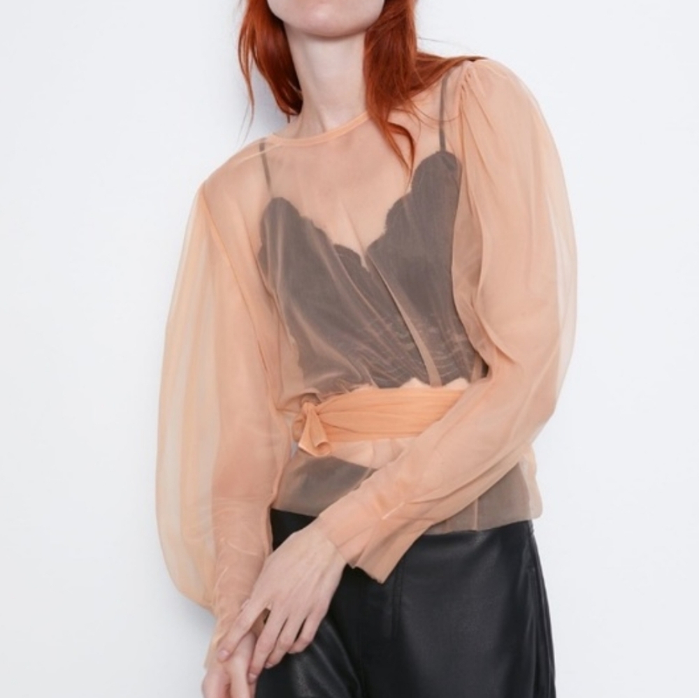 Zara Sheer Tulle Blouse